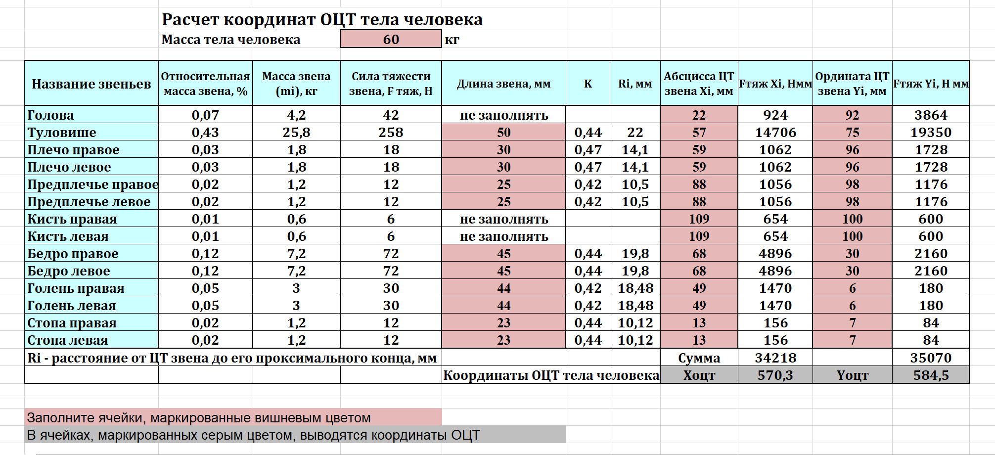 Программа расчета положения ОЦТ тела человека посредством табличного процессора Excel