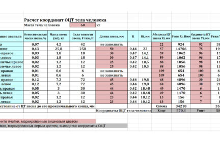 Миниатюра для записи Расчет положения ОЦТ тела человека стандартным способом