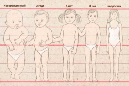 Миниатюра для записи Классификация соматотипов детей по Штефко-Островскому