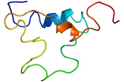 Миниатюра для записи Инсулиноподобный фактор роста (ИФР-1)