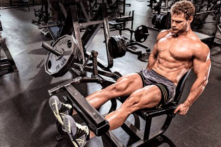 Миниатюра для записи Влияние величины нагрузки, длины мышцы и скорости эксцентрического сокращения на продольный рост широкой латеральной мышцы бедра