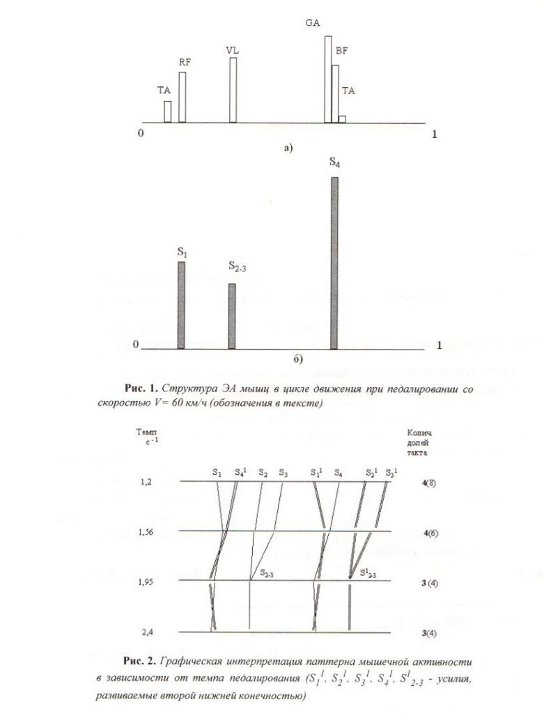Взаимосвязь темпа и ритма биомеханической структуры спортивных движений