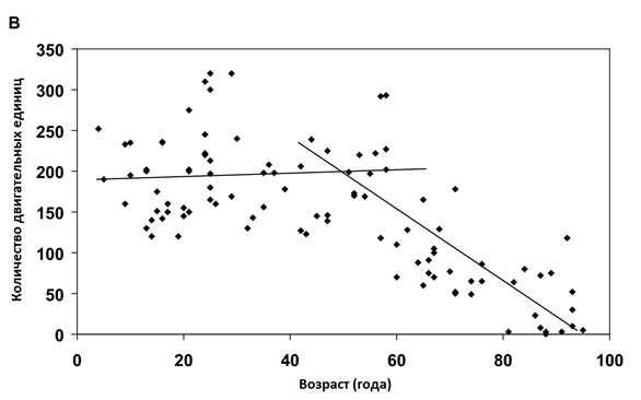 Соотношение между количеством ДЕ в коротком разгибателе пальцев и возрастом
