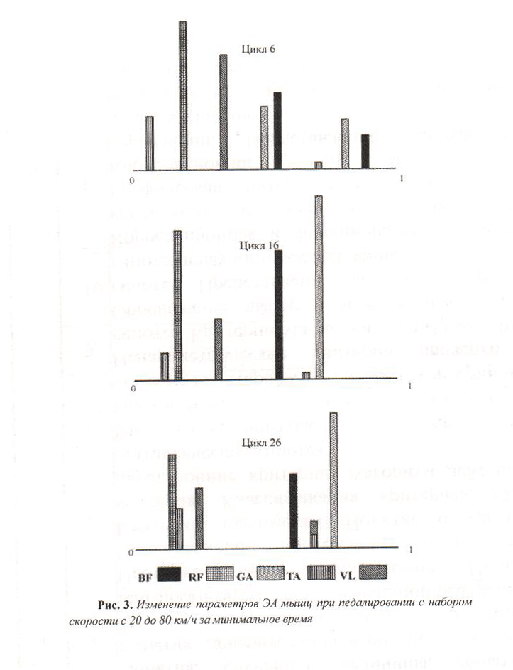 Взаимосвязь темпа и ритма биомеханической структуры спортивных движений