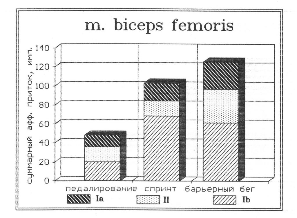 Вклад рецепторов в афферентный приток при выполнении спортивных локомоций