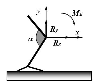 Направление составляющих (Rx и Ry) силы реакции связи (<strong>R</strong>) в коленном суставе человека (Кичайкина Н.Б. с соавт. 2000)