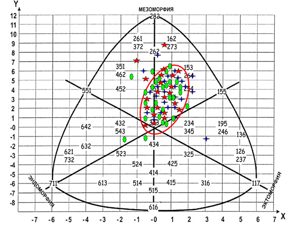 Типы телосложения (соматотипы) по Хит-Картеру