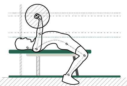 Миниатюра для записи Биомеханика опорно-двигательного аппарата человека