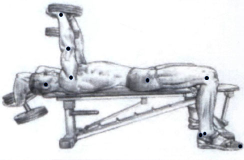 Расположение точек, соответствующих ЦТ головы и кисти, а также центрам суставов (лучезапястного, локтевого, плечевого, тазобедренного, коленного) и маркеров для определения ЦТ стопы в статическом положении при выполнении силового упражнения