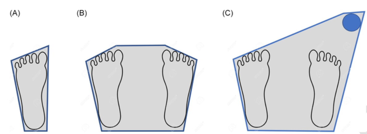 Площадь контура опоры при стоянии на одной ноге (A), двух ногах (B) и при стоянии с опорой на палку (C)