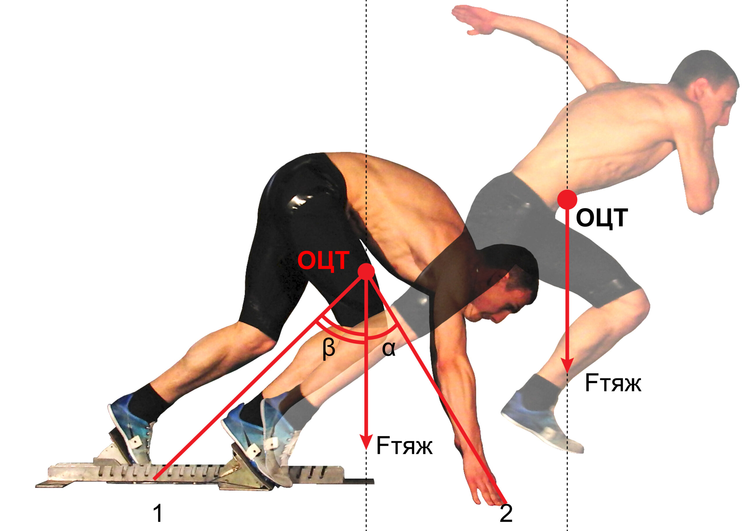 Углы устойчивости при выполнении низкого старта (Кичайкина Н.Б., Самсонова А.В., 2018)