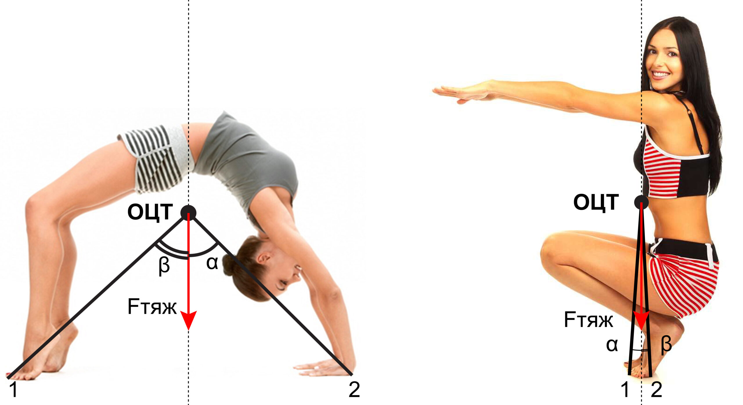 Углы устойчивости при выполнении физических упражнений: "мост" и  "присед руки вперед" (Кичайкина Н.Б., Самсонова А.В., 2018)