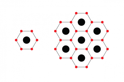 Миниатюра для записи Количество толстых и тонких филаментов в саркомере