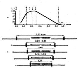 Схема, иллюстрирующая зависимость между степенью перекрытия толстых и тонких филаментов и силой, развиваемой саркомером (A.M. Gordon, A.F. Huxley. F.J. Julian, 1966)