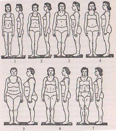 Конституциональные типы женщин (по И.Б. Галанту)Обозначения: 1 - астенический; 2 - стенопластическии; 3 - пикнический; 4 - мезопластическии; 5 - эурипластический; 6 - субатлетический; 7 - атлетический