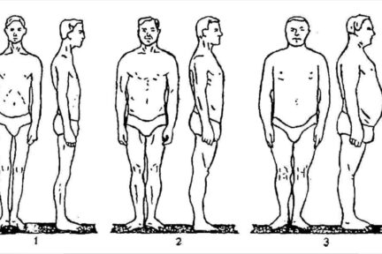 Миниатюра для записи Типы телосложения мужчин по В.В. Бунаку