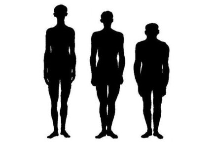 Миниатюра для записи Типы телосложения по М.В. Черноруцкому