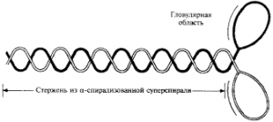 В тексте о химических волокнах выделите абзац переведите текстовую информацию в графическую схему 9