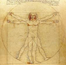 Миниатюра для записи Типы телосложения (соматотипы)