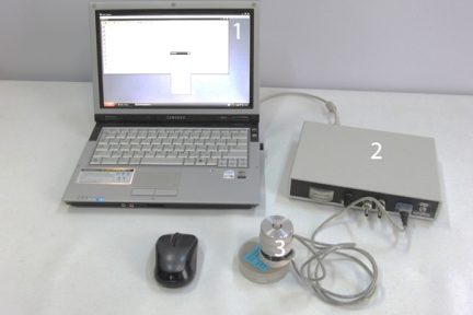 Миниатюра для записи Изменение механических свойств скелетных мышц под влиянием физической нагрузки