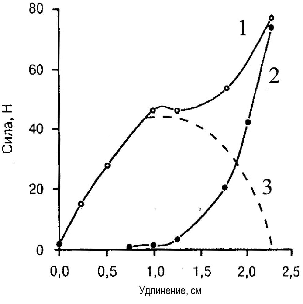 Зависимость силы от удлинения активной мышцы. Вклад ПаУК (2) и СокК (3) в суммарную силу тяги мышцы (1) при изменении ее длины (Ralston et al, 1947)