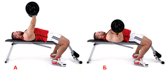 Начальное (А) и промежуточное (Б) статические положения при жиме штанги лежа. Смена направления движения штанги (сначала вниз, затем вверх) проходит через мгновенную статическую позу (Б) (Кичайкина Н.Б., Самсонова А.В., 2018)