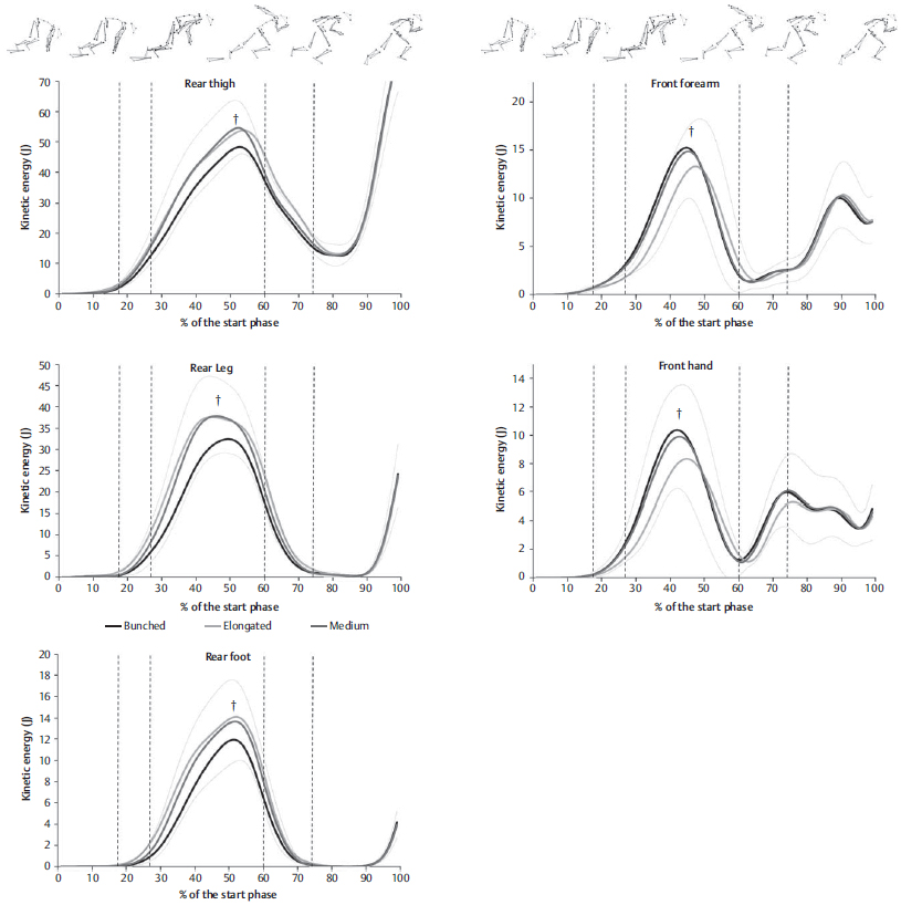 Кинетическая энергия различных частей тела спортсмена при беге с низкого старта